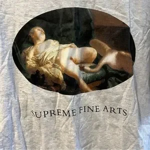 Supreme | Tops | Supreme Leda And The Swan Grey Fine Arts T